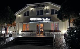 Pensiunea Rodica Guest House